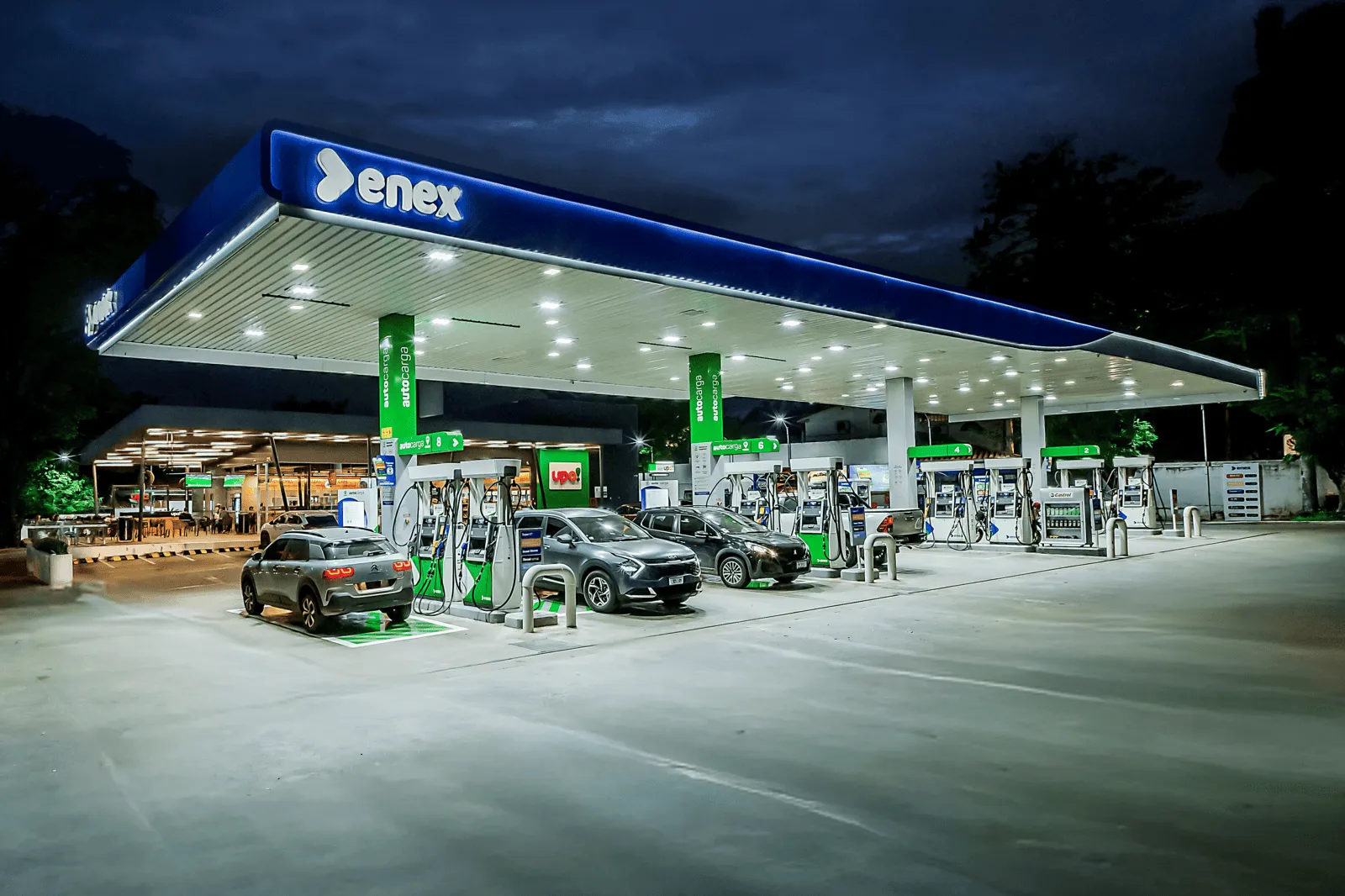 Combustibles